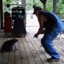 Dances with Coons